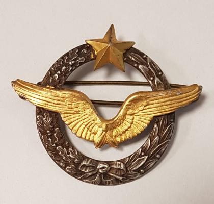 Pilotní odznak Francie